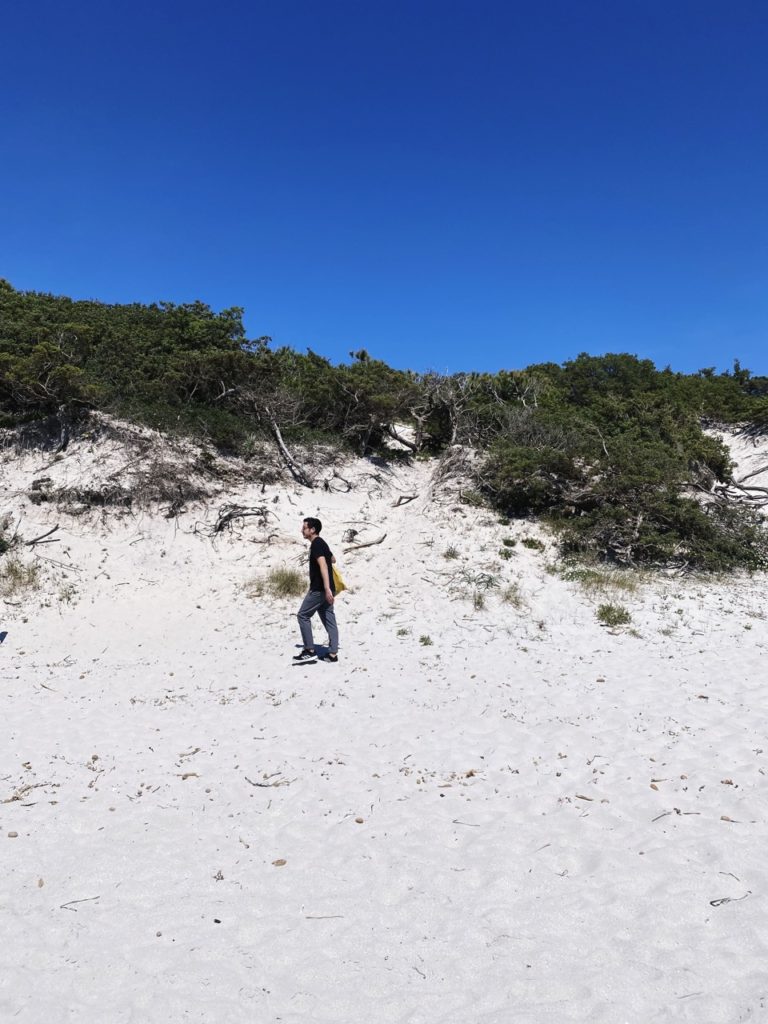 Maria Pia dunes