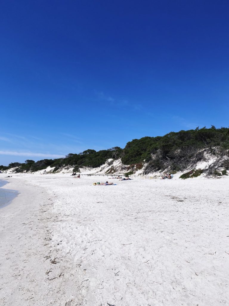 Maria Pia dunes
