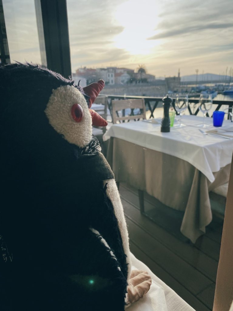 Plush toy looking out at a sunset over the Alghero harbor