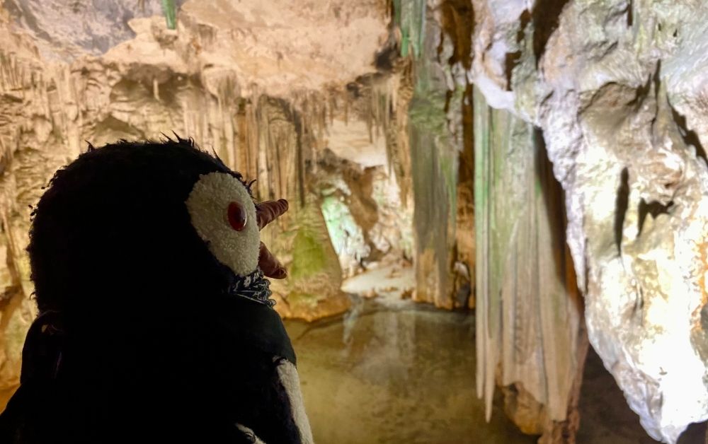 Neptunes Grotto featured