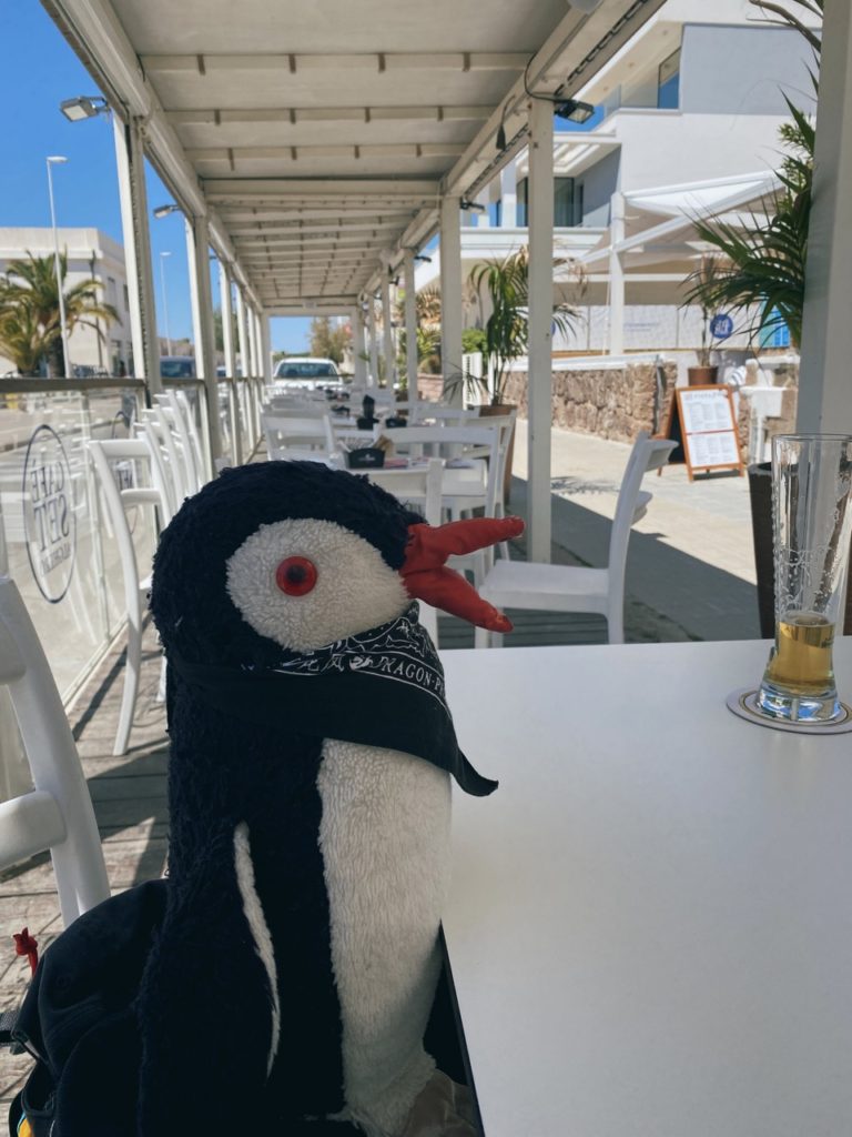 A stuffed penguin wearing a bandana sits at a table in Alghero