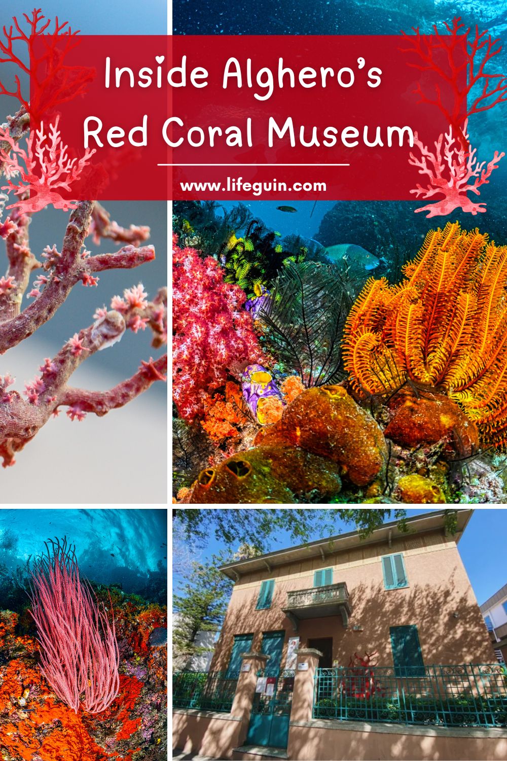 Red Coral