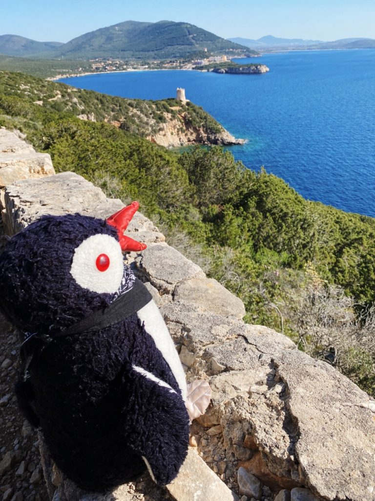 Torre del bollo alghero