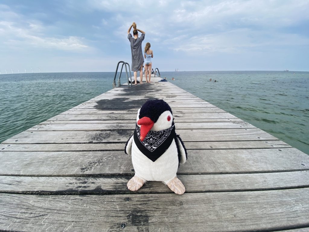 Amarling copengahen strandpark