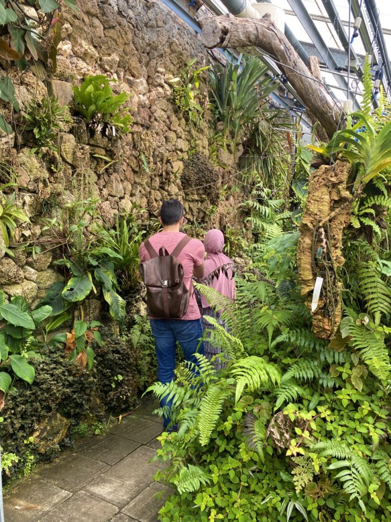 Butterfly house Copenhagen