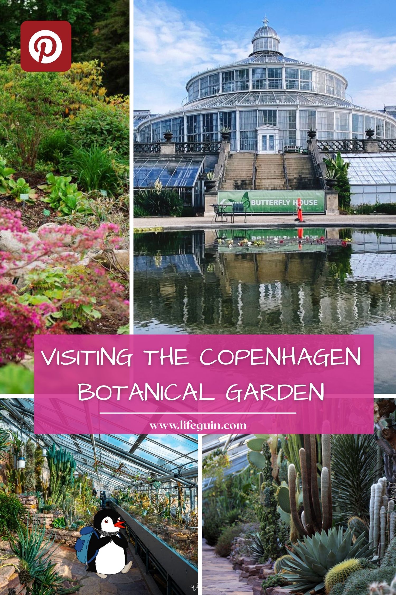Pinterest graphic collage promoting visiting the Copenhagen Botanical Garden with mascot Miško the penguin