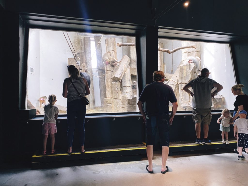Copenhagen inside exhibit