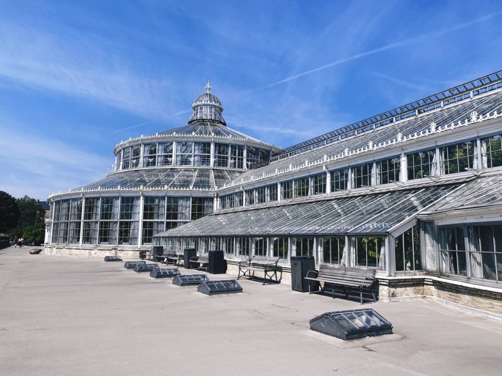 Copenhagen palm house large