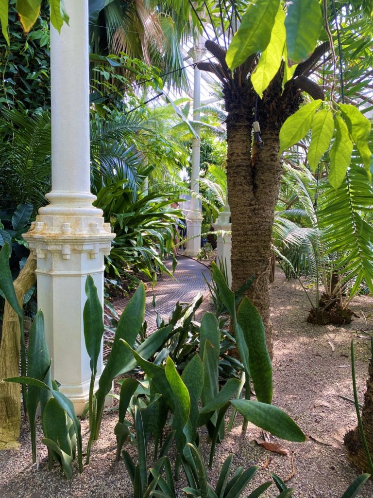 Copenhagen palm house