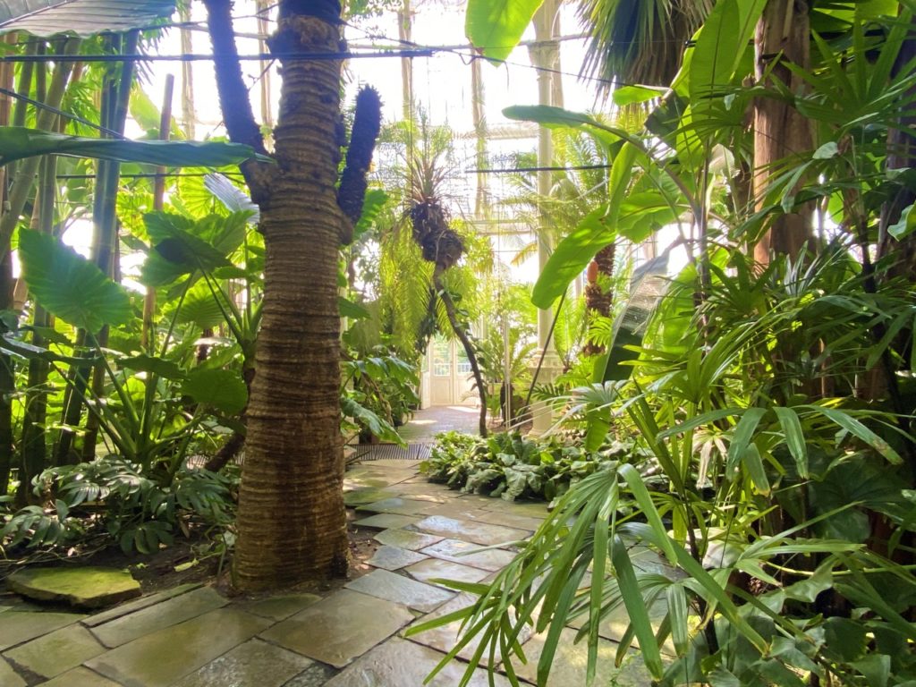 Copenhagen palm house