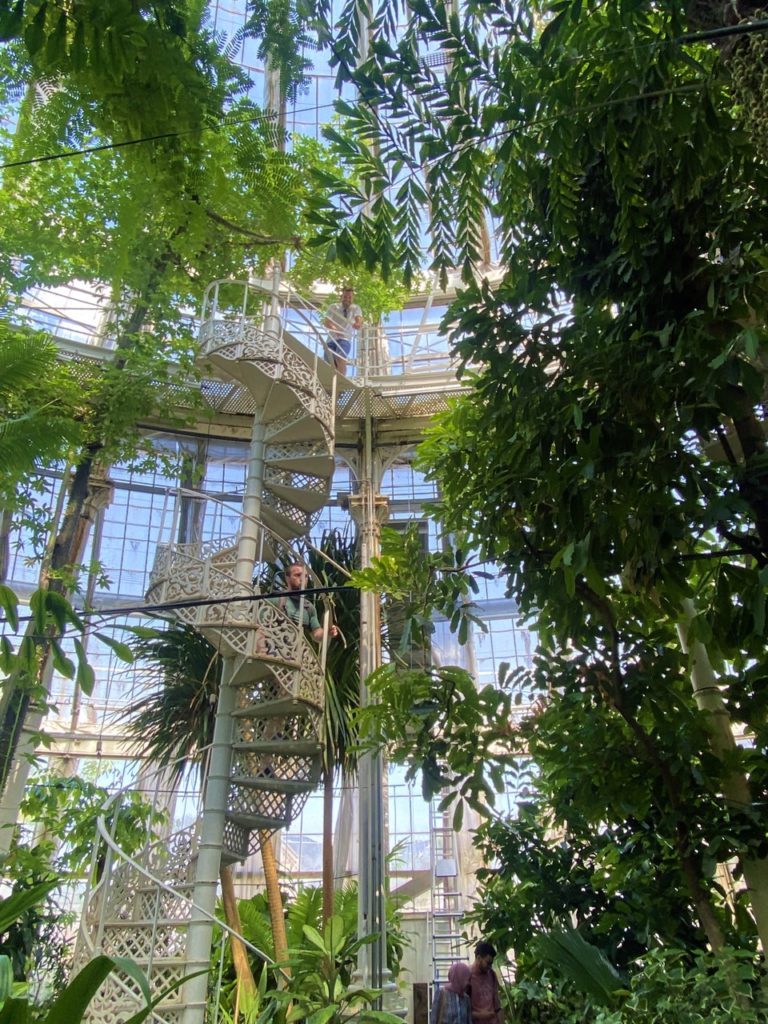 Copenhagen palm house