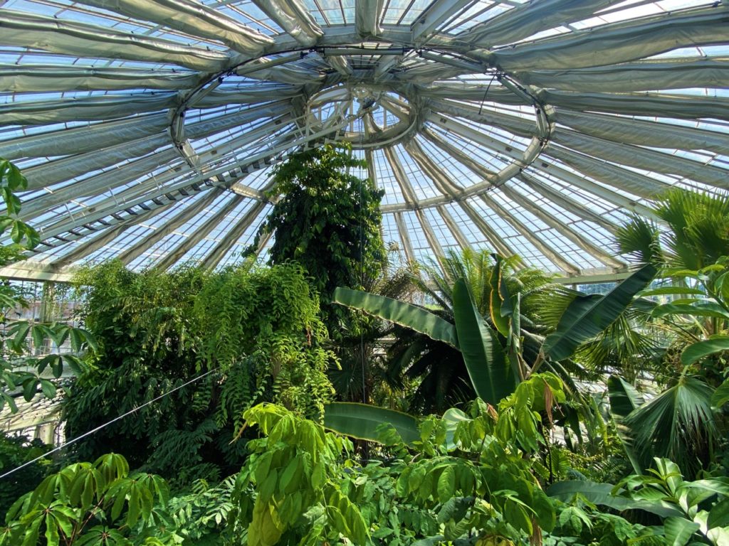 Copenhagen palm house