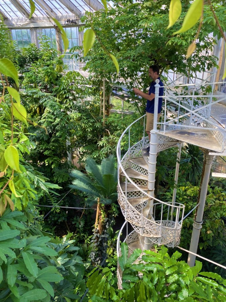 Copenhagen palm house