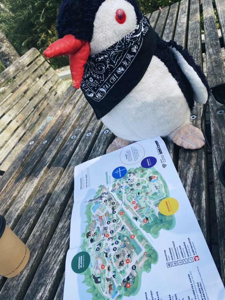 Plush penguin wearing a bandana sits on a bench with a Copenhagen Zoo map