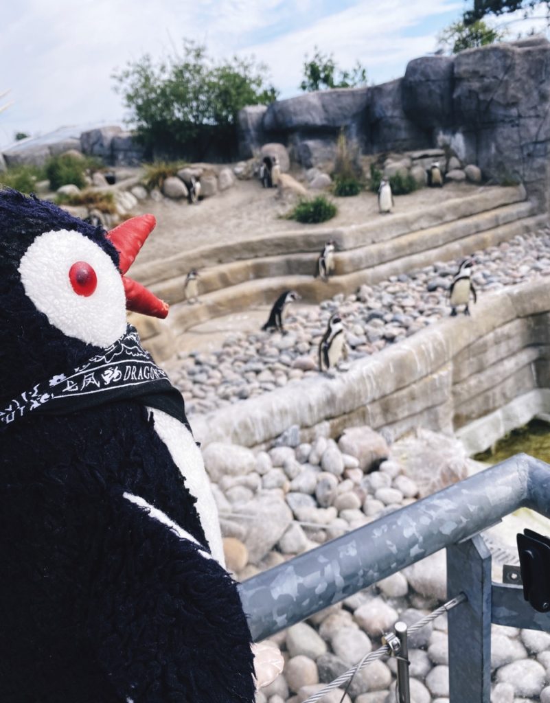 Copenhagen Zoo penguins