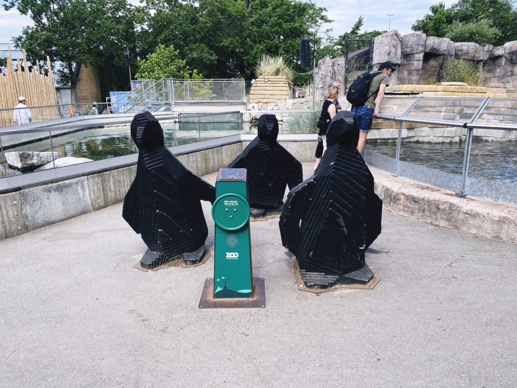 Copenhagen Zoo penguins