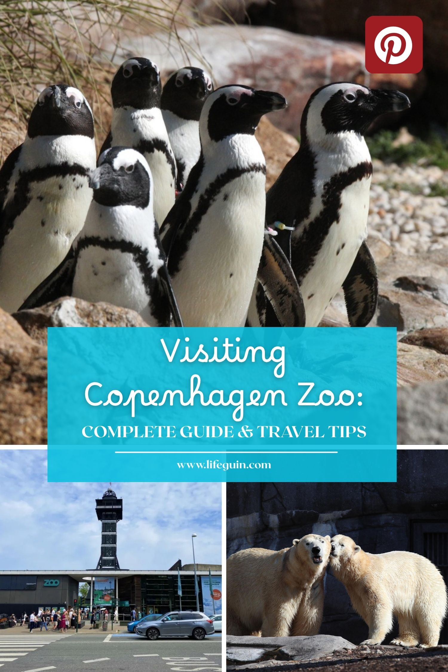 A group of penguins, the Copenhagen Zoo entrance tower, and two polar bears together