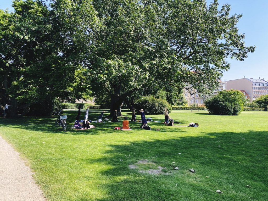 Kings gardens