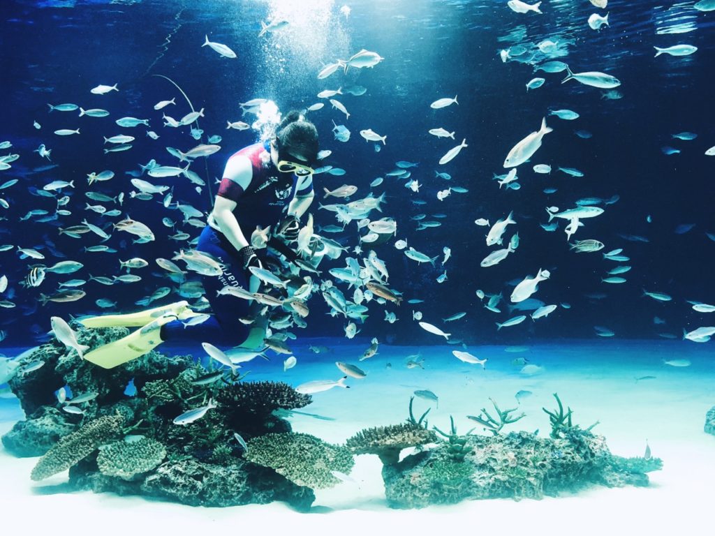Sunshine Aquarium Tokyo japan