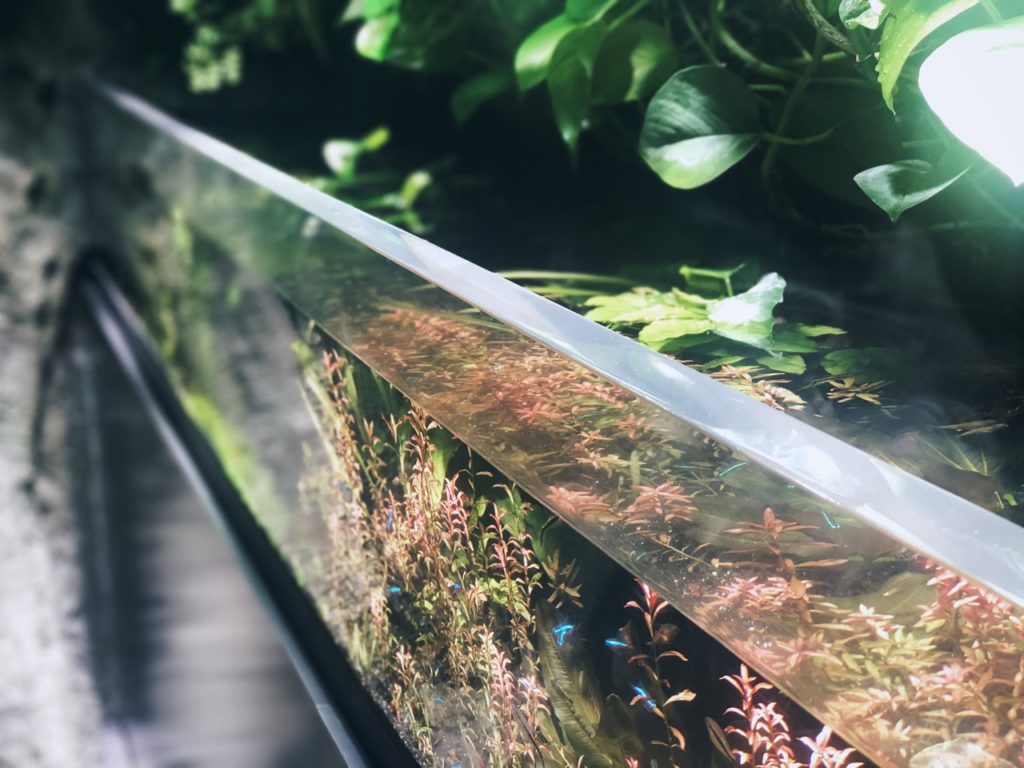 Sunshine Aquarium Tokyo japan