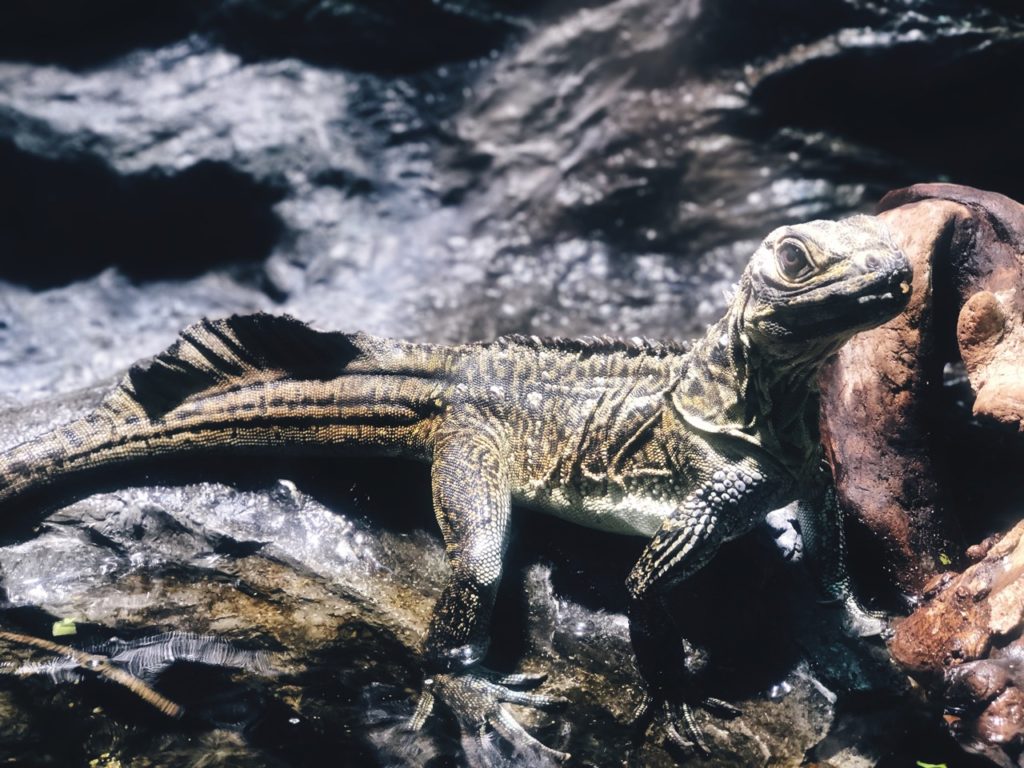 Sunshine Aquarium Tokyo japan
