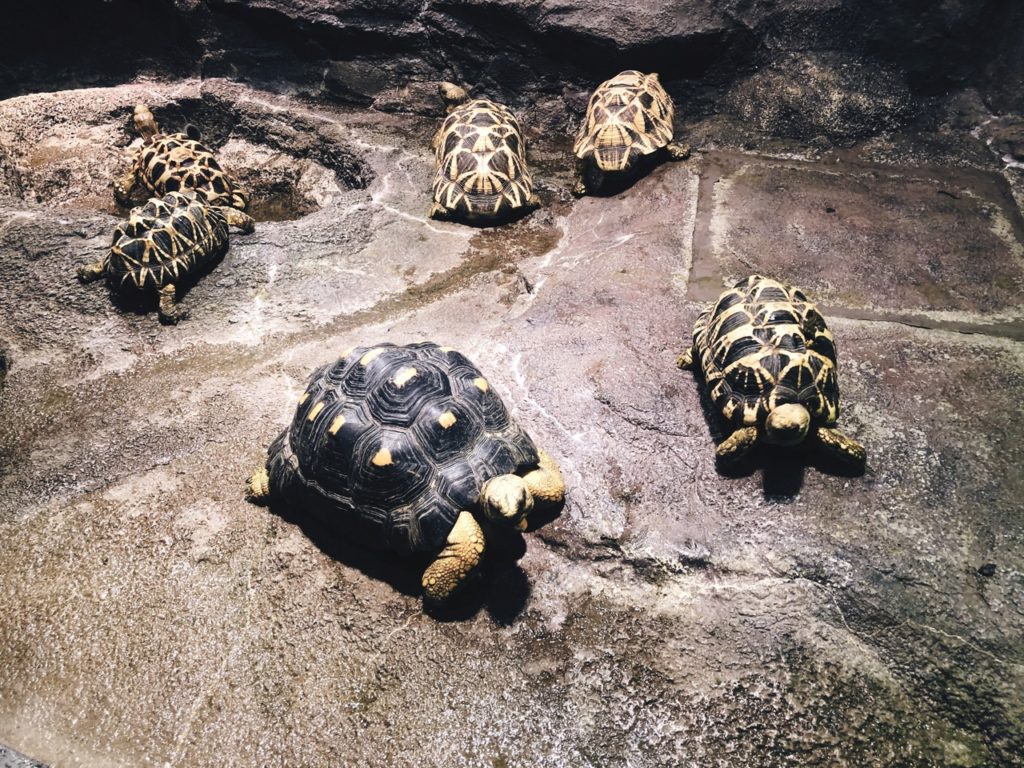 Sunshine Aquarium Tokyo japan
