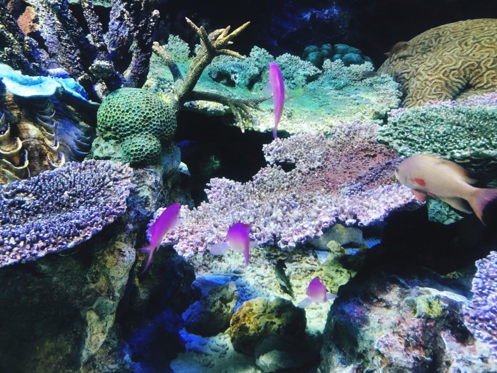Sunshine Aquarium Tokyo japan