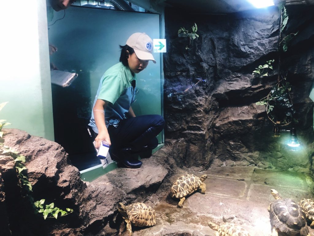 Sunshine Aquarium Tokyo japan
