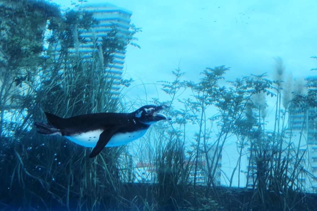 Sunshine Aquarium Tokyo japan