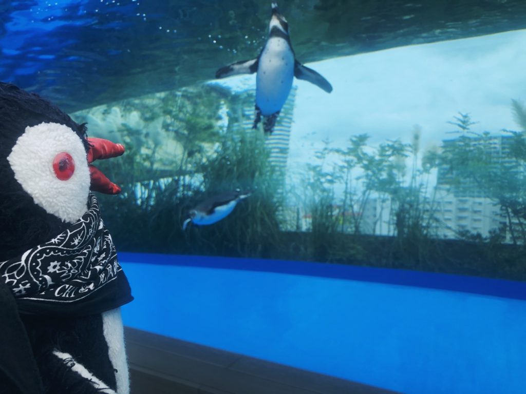 Sunshine Aquarium Tokyo japan