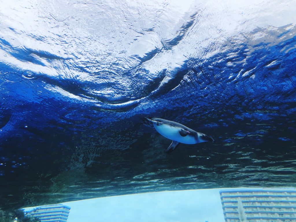 Sunshine Aquarium Tokyo japan
