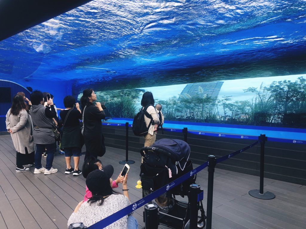 Sunshine Aquarium Tokyo japan