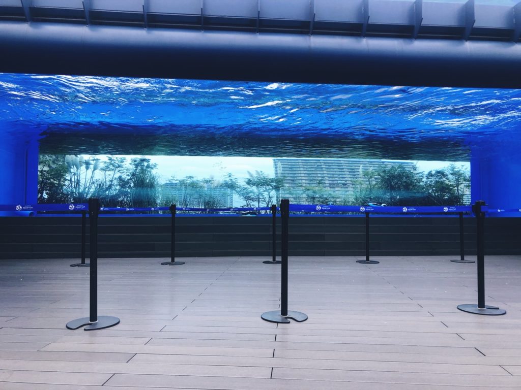 Sunshine Aquarium Tokyo japan