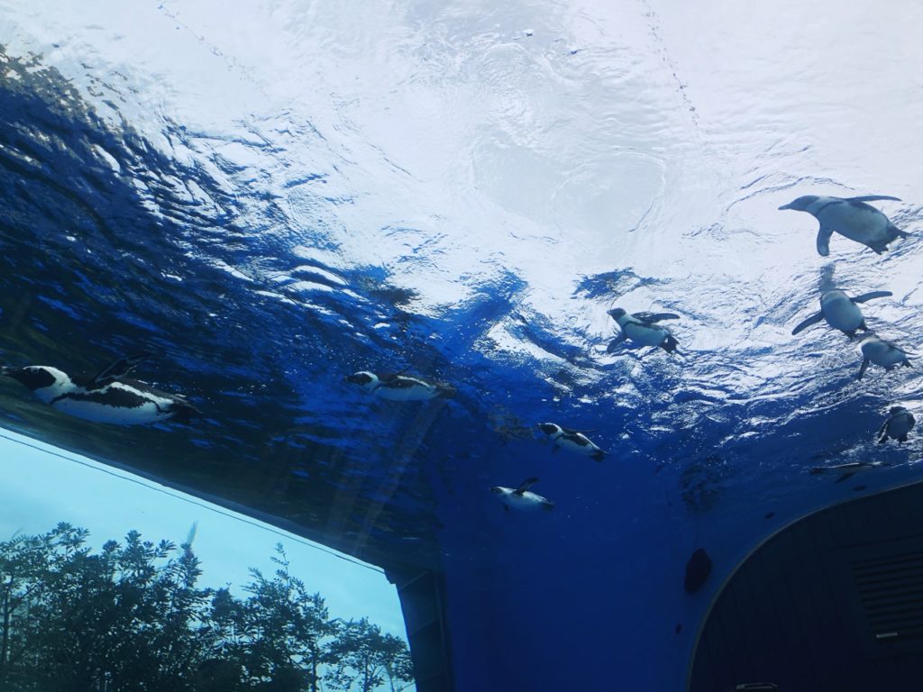 Sunshine Aquarium Tokyo japan