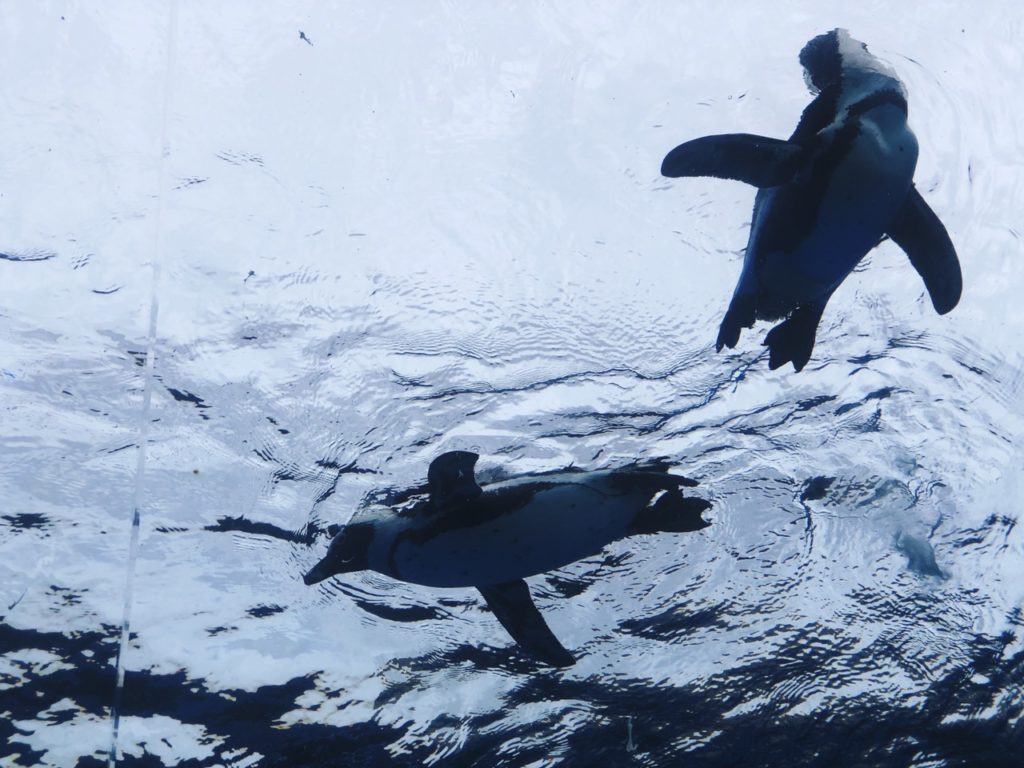Sunshine Aquarium Tokyo japan