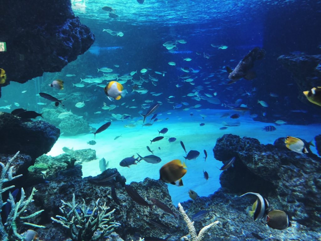 Sunshine Aquarium Tokyo japan
