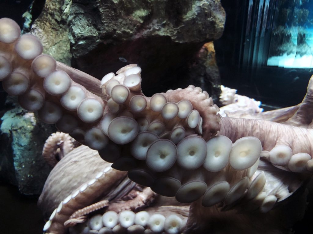 Sunshine Aquarium Tokyo japan