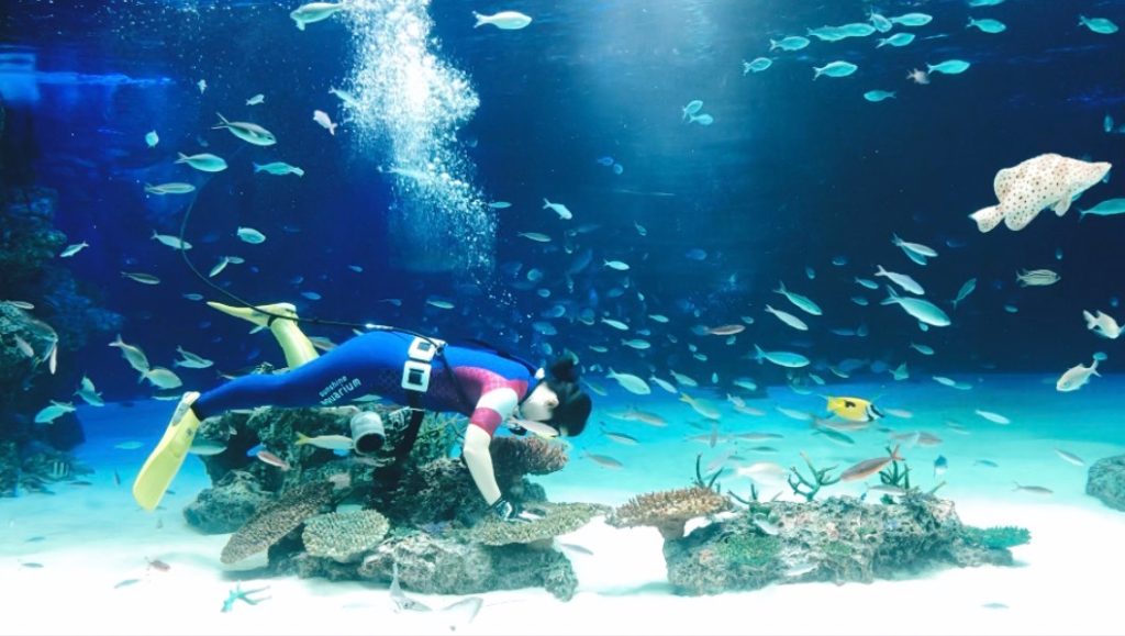 Sunshine Aquarium Tokyo japan