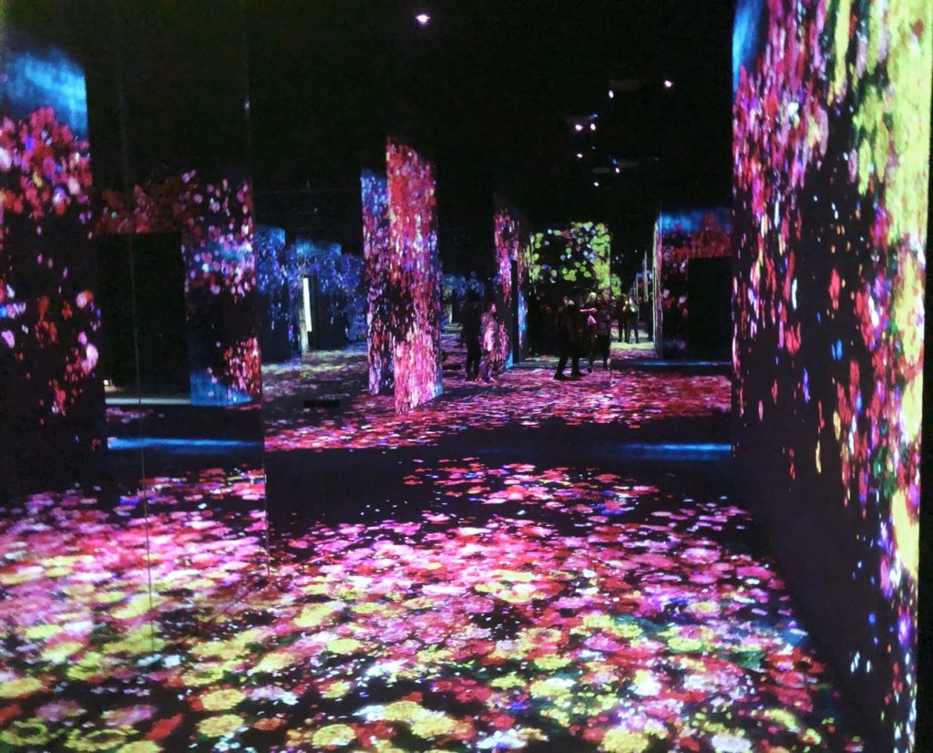 Teamlab Borderless Tokyo