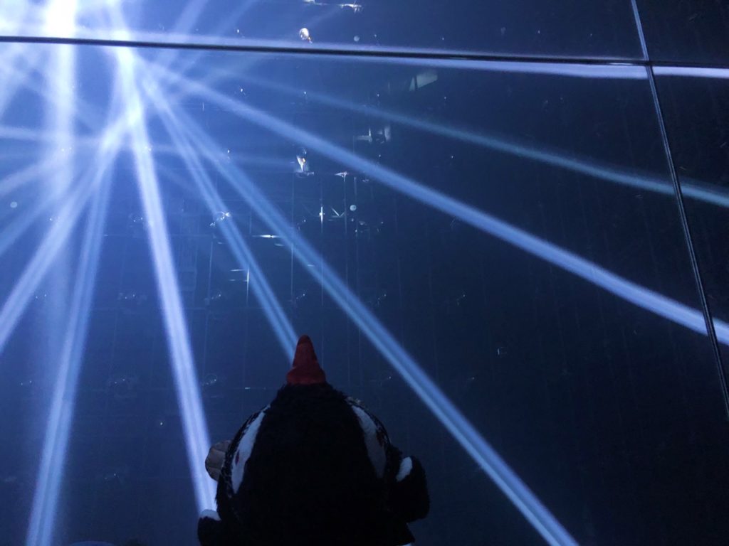 Teamlab Borderless Tokyo