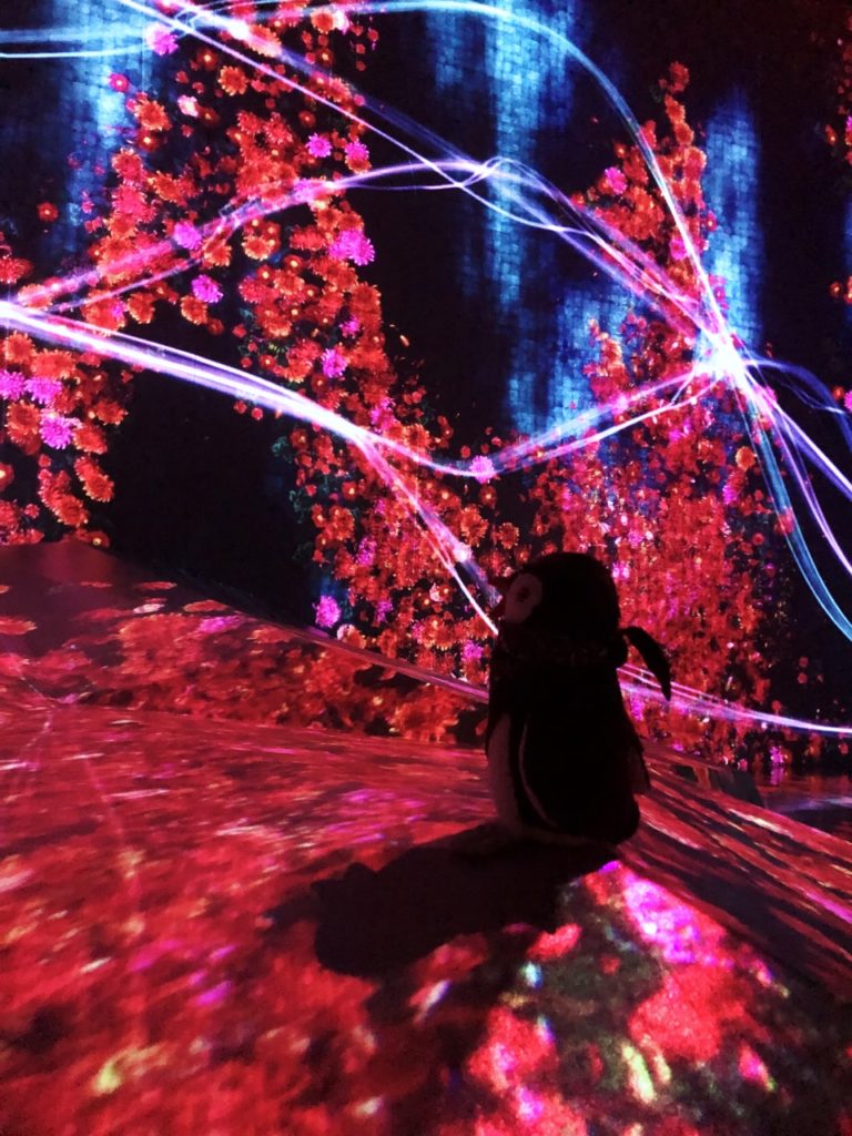 Teamlab Borderless Tokyo