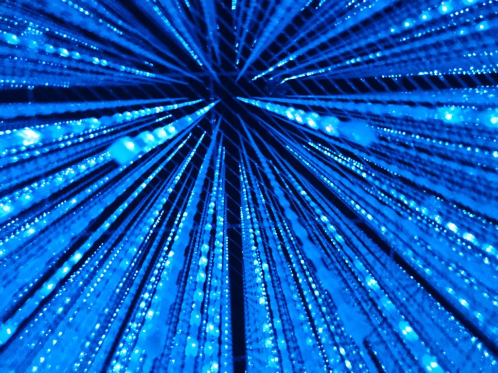 Teamlab Borderless Tokyo