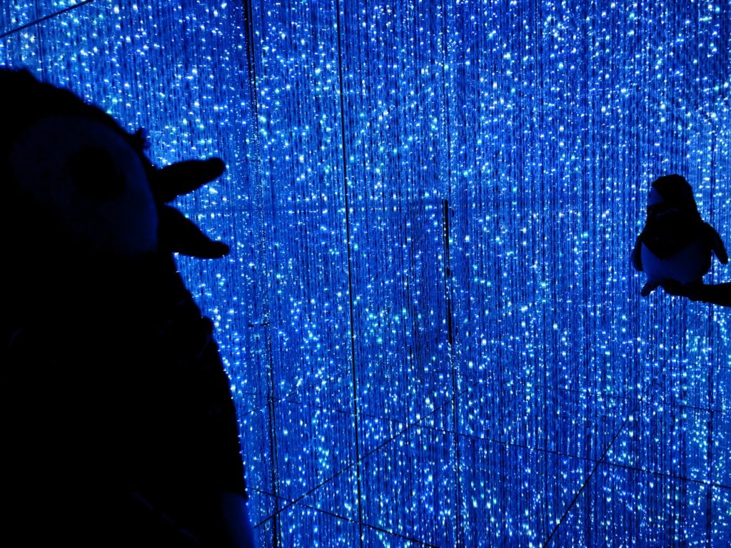 Teamlab Borderless Tokyo