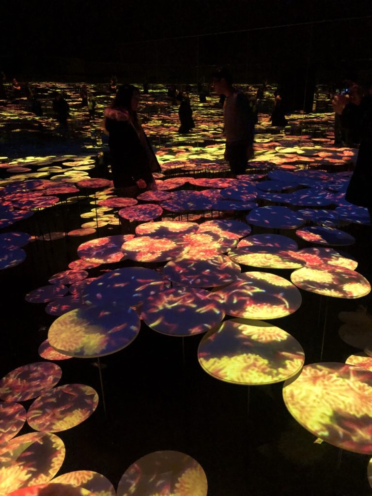 Teamlab Borderless Tokyo