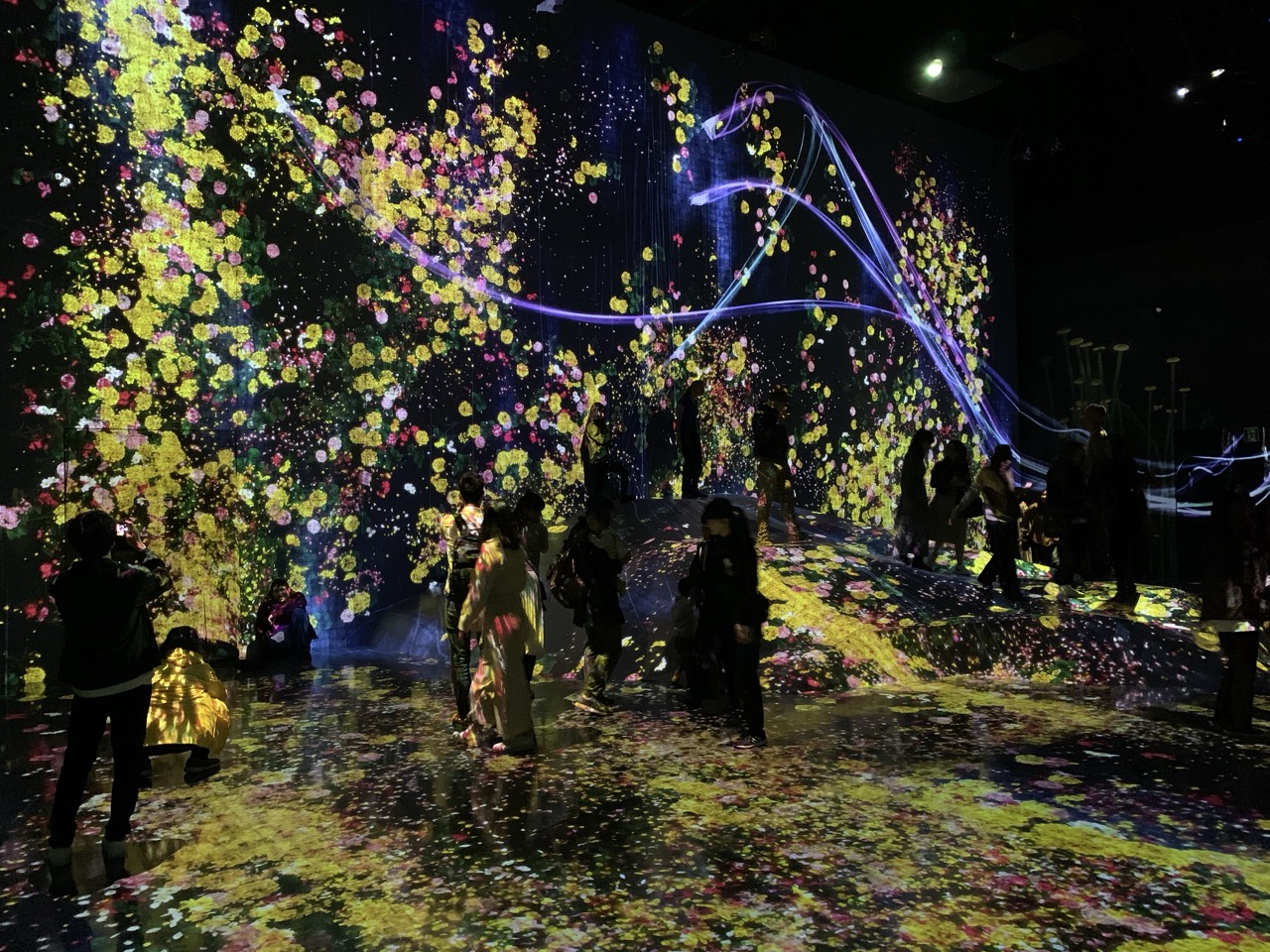 Teamlab Tokyo japan