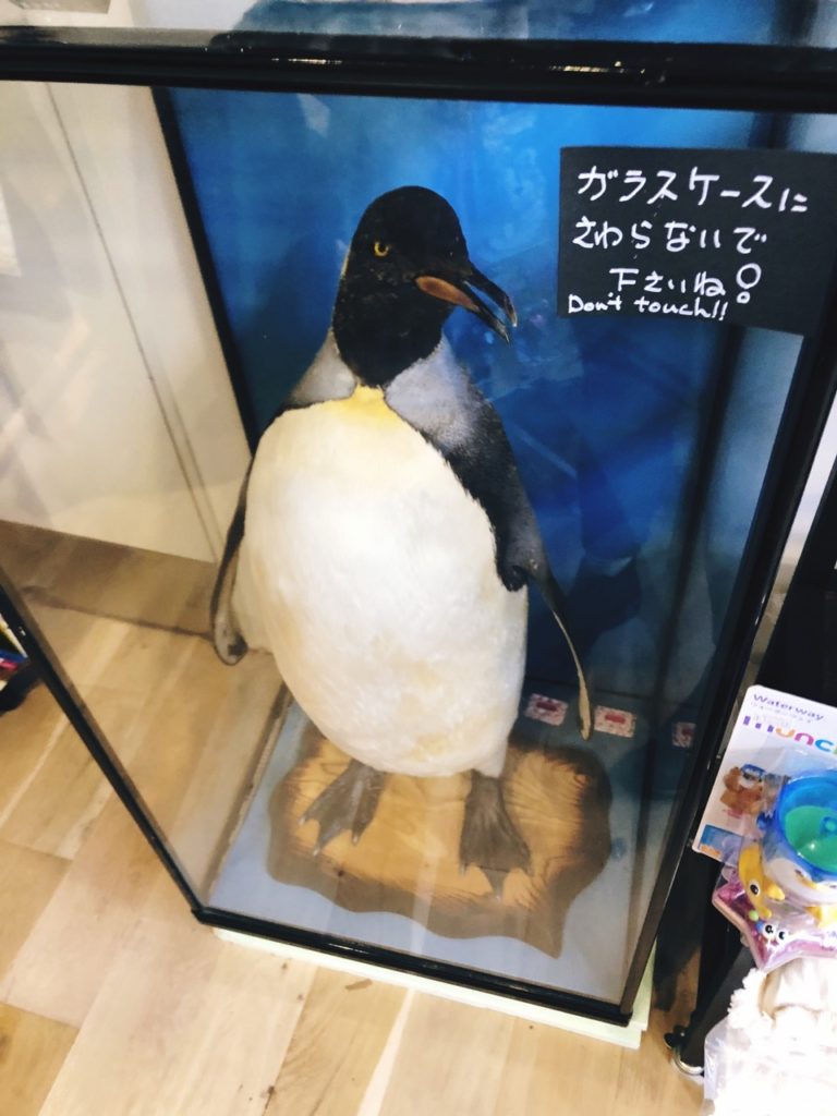 Penguin Shop Tokyo