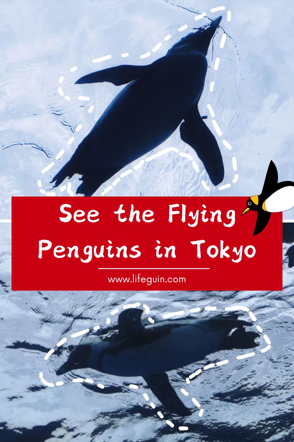 Tokyo penguin