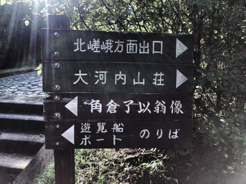 Bamboo forest kyoto
