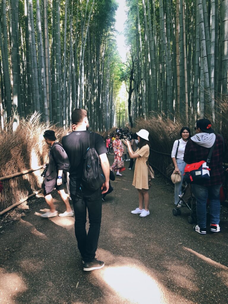 Bamboo forest kyoto