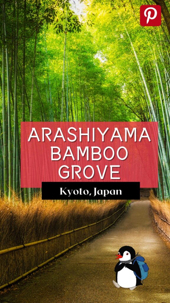 Bamboo groove kyoto japan